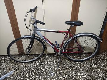 bottecchia bici da passeggio uomo