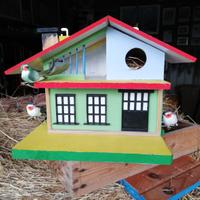 casina x uccelli 