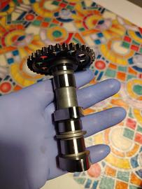 Albero a camme aspiraz. Hotcams Suzuki DRZ400SM