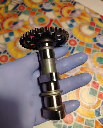 Albero a camme aspiraz. Hotcams Suzuki DRZ400SM