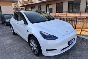 Tesla model Y rwd