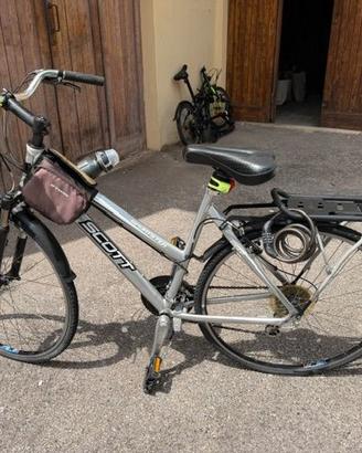 Bici SCOTT Sportster