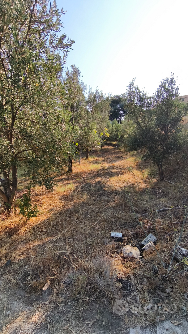 Terreno agricolo - Vista 4