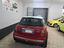 Immagine 8