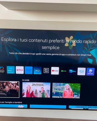 TV 55 pollici - Samsung Neo Qled QN95B