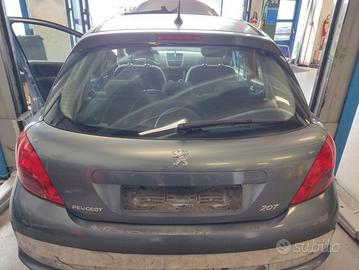 Portellone nudo PEUGEOT 207 del 2007