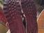 Immagine 4