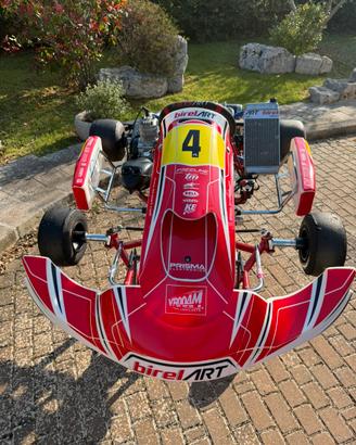 Kart BirelArt Iame X30 senior