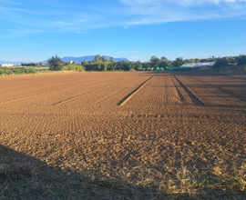 Terreno agricolo