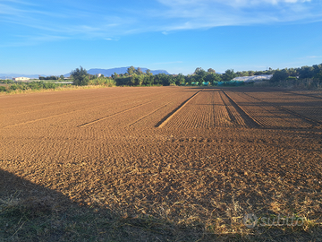 Terreno agricolo