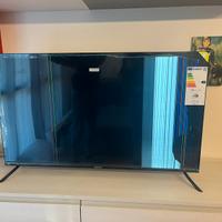 Schermo 50 pollici JAPANNEXT - DISPLAY ROTTO