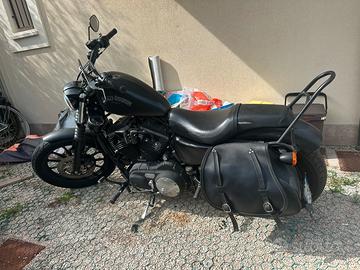 Harley Davidson XL883