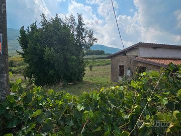 Appartamento a rustico con terreno