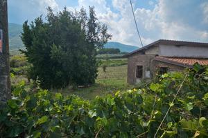 Appartamento a rustico con terreno