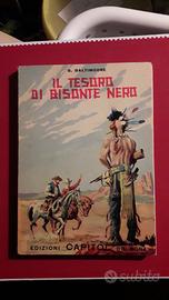 Il tesoro di Bisonte Nero