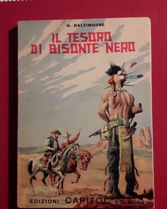 Il tesoro di Bisonte Nero