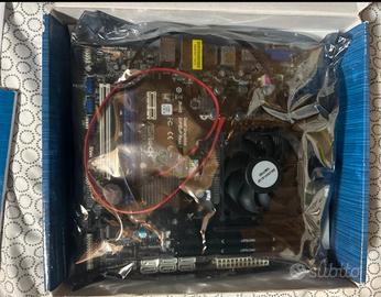 Set completo Motherboard