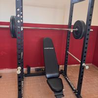 Power rack training lacertosus