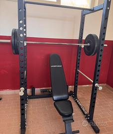 Power rack training lacertosus