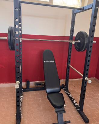 Power rack training lacertosus