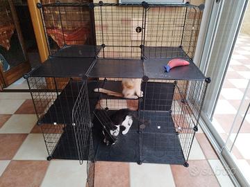 Grande recinto per animali a 3 piani, con porte.