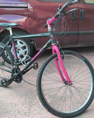 mountain bike uomo