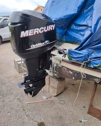 Fuoribordo Mercury optimax 115
