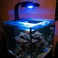 Acquario Marino. Vasca, mobile, sump.