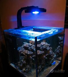 Acquario Marino. Vasca, mobile, sump.