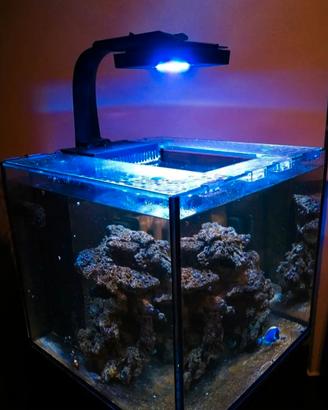Acquario Marino.
