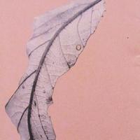 Libro -WABI-SABI-per artisti. Design, poeti  e....