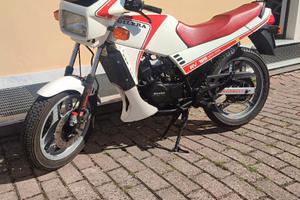 Gilera RV 125