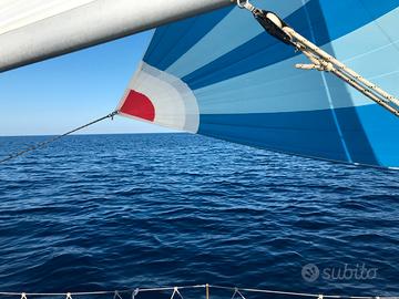 IMBARCAZIONE A VELA 11,90 m