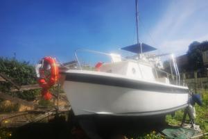 Gozzo semicabinato ingenito 7.5