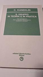 il gruppo in teoria  e in pratica 