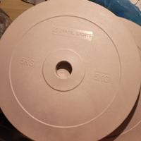 no spedizione,2  dischi per fitness