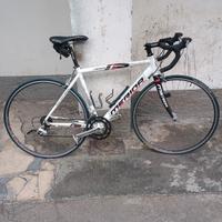  bici da corsa 
