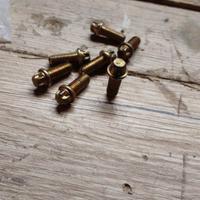 Viti testa Torx francese M8x28 