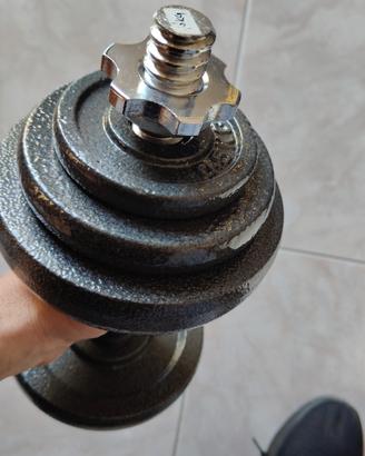 Come Nuovo.Peso palestra 