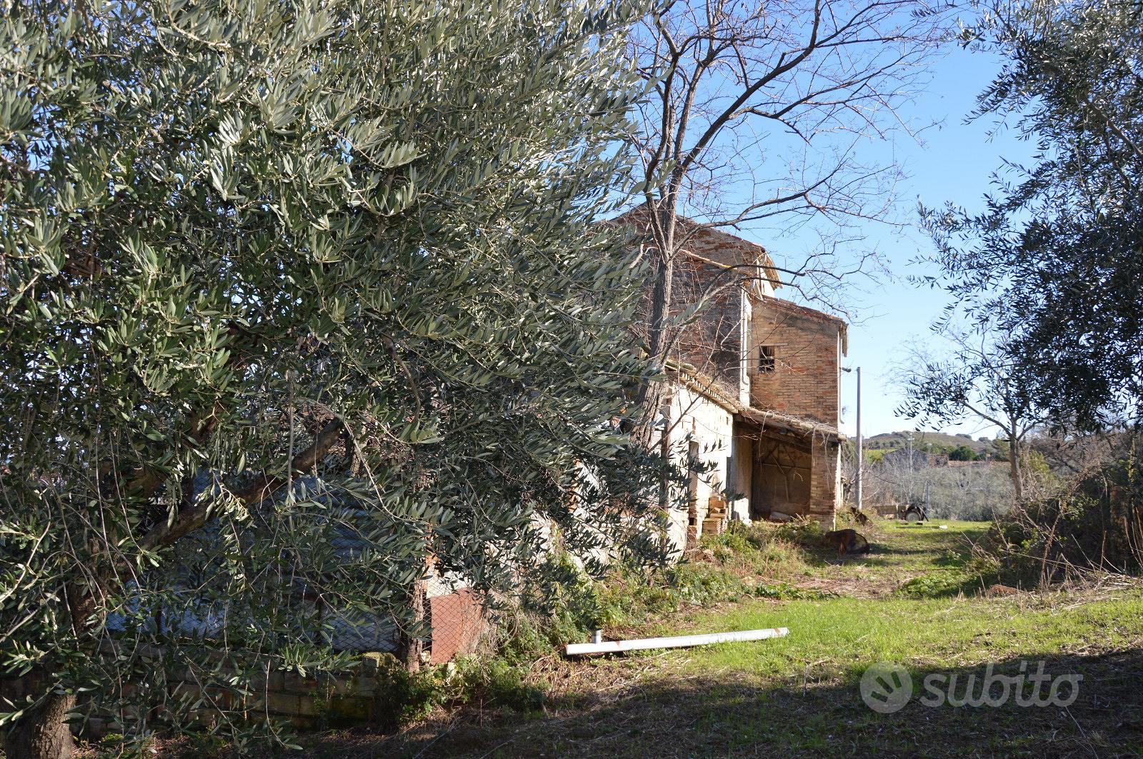 Casolare e terreno con vista sul mare - R46 - Vista 4