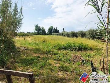 Terreno agricolo - Fondi