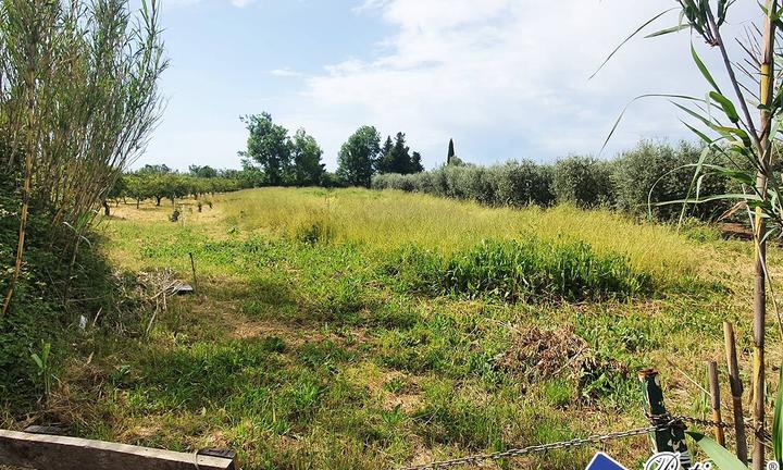 Terreno agricolo - Fondi