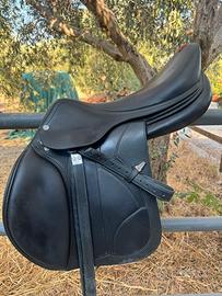 Sella da salto Equipe Carbon