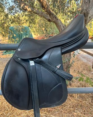 Sella da salto Equipe Carbon