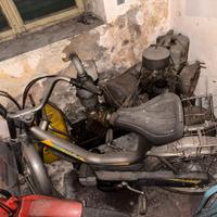 Motorino Peripoli Giulietta nevada