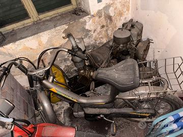 Motorino Peripoli Giulietta nevada