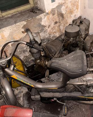 Motorino Peripoli Giulietta nevada