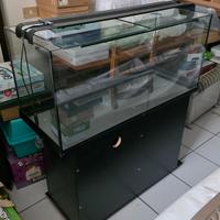acquario 180L Diversa