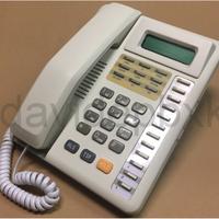 Telefono Trucco Echo 32S M40