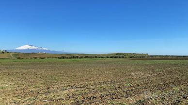 Azienda agricola biologica Ramacca